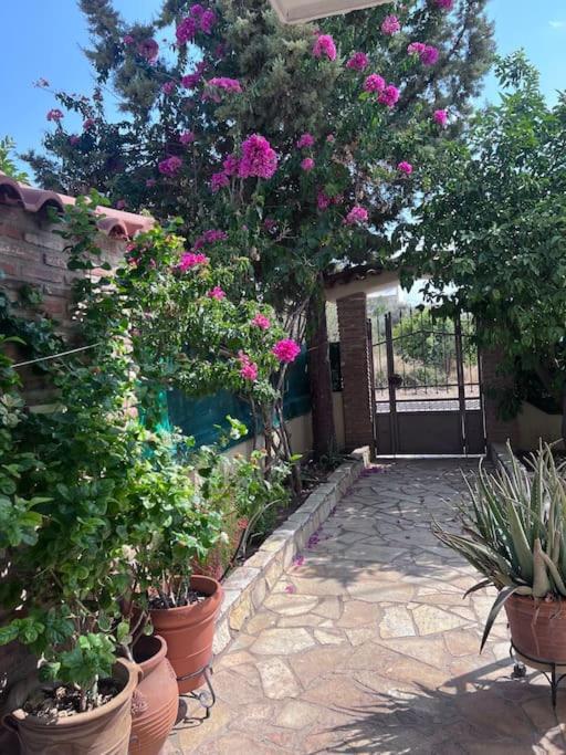 Villa όμορφο και άνετο σπίτι στη χαλκίδα *
